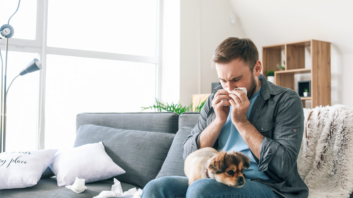 Humidity, Allergies, and Asthma